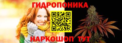 дживик Жуковский