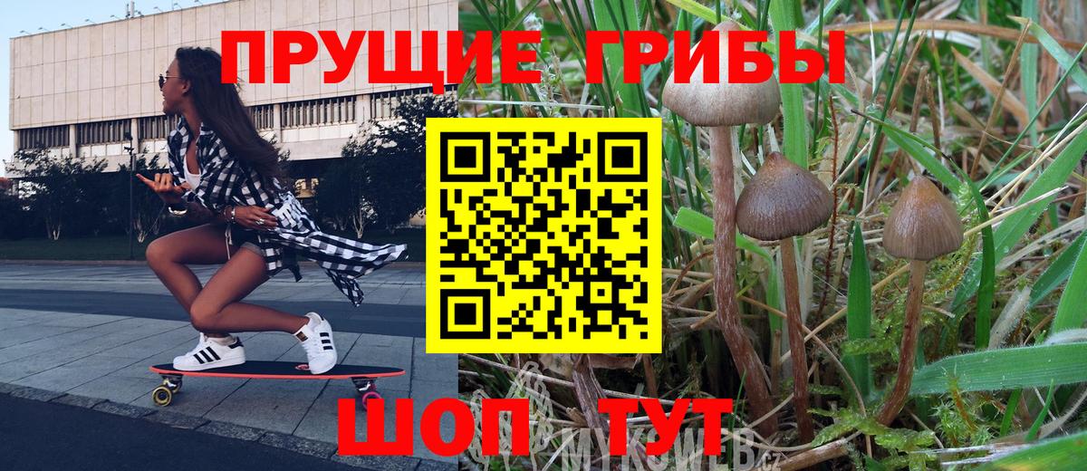 Галлюциногенные грибы Psilocybine cubensis  где купить наркоту  Майкоп  Вход с VPN 