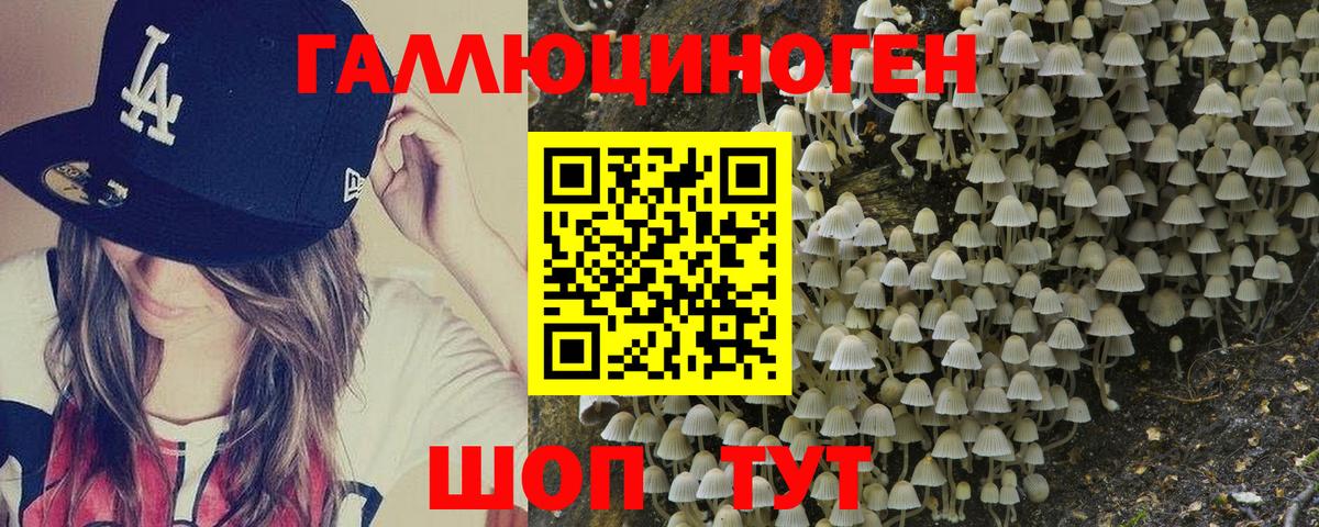 Псилоцибиновые грибы мухоморы Майкоп